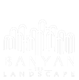 BANYAN